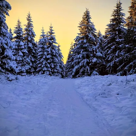 Daire Jessis Harz Sankt Andreasberg