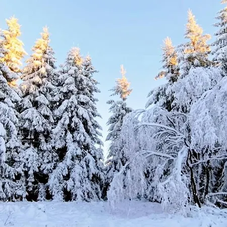 公寓 Jessis Harz 圣安德里斯伯格